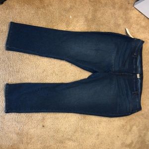 faded glory plus size jeggings